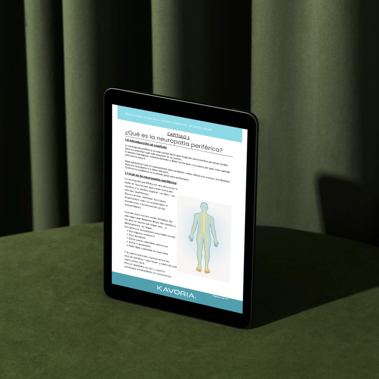 Guía Digital de Salud del Pie (PDF)